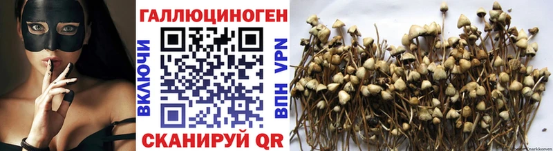 Галлюциногенные грибы MAGIC MUSHROOMS  Купить где  Орехово-Зуево 